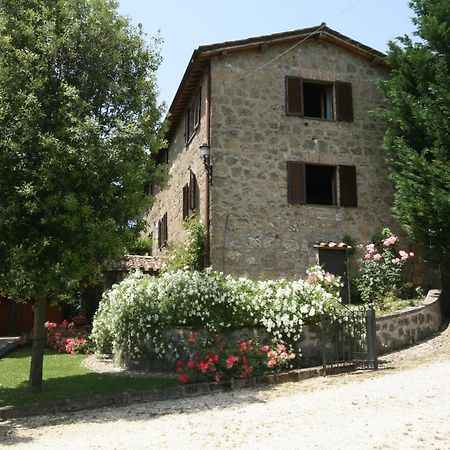La Locanda Della Chiocciola Orte Exterior foto