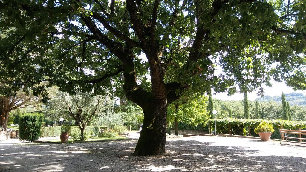 La Locanda Della Chiocciola Orte Exterior foto
